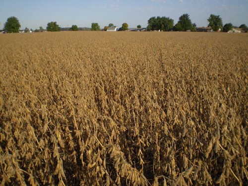 Property photo 17 - 75+/- Acres in 9 Tracts